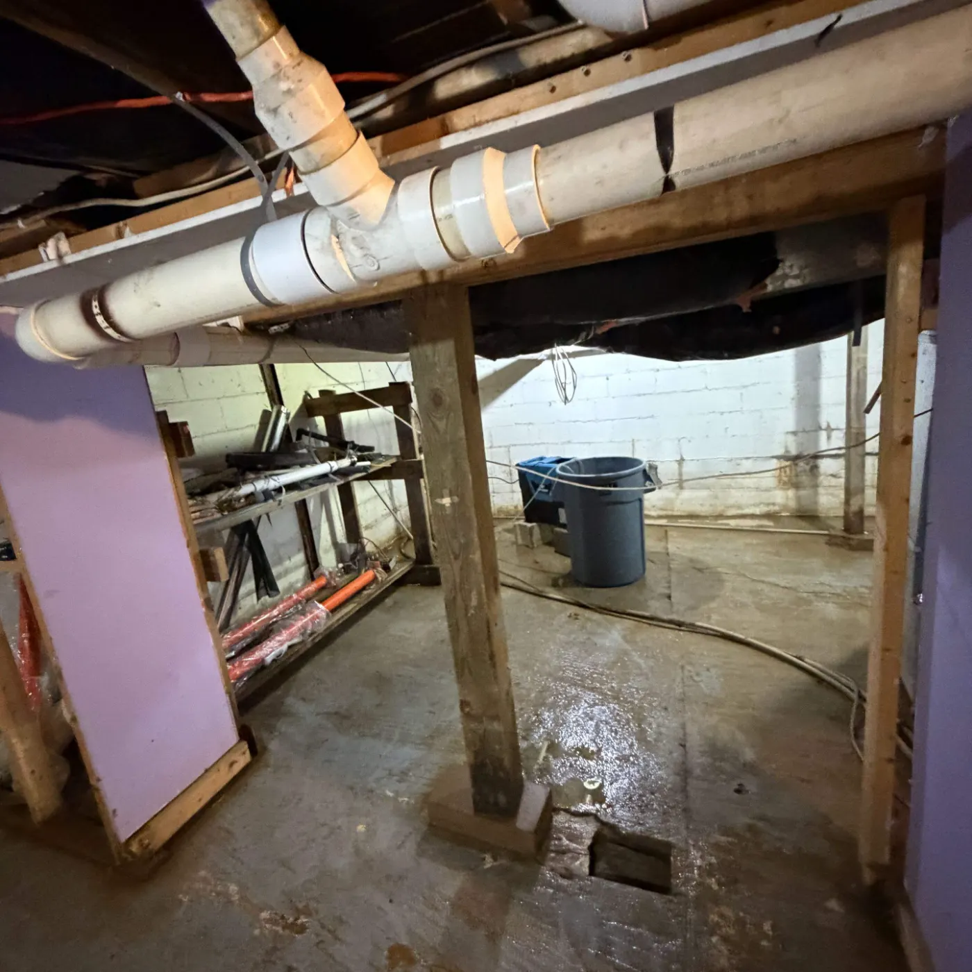 Can I Dry My Allisonville Home Myself After Water Damage?